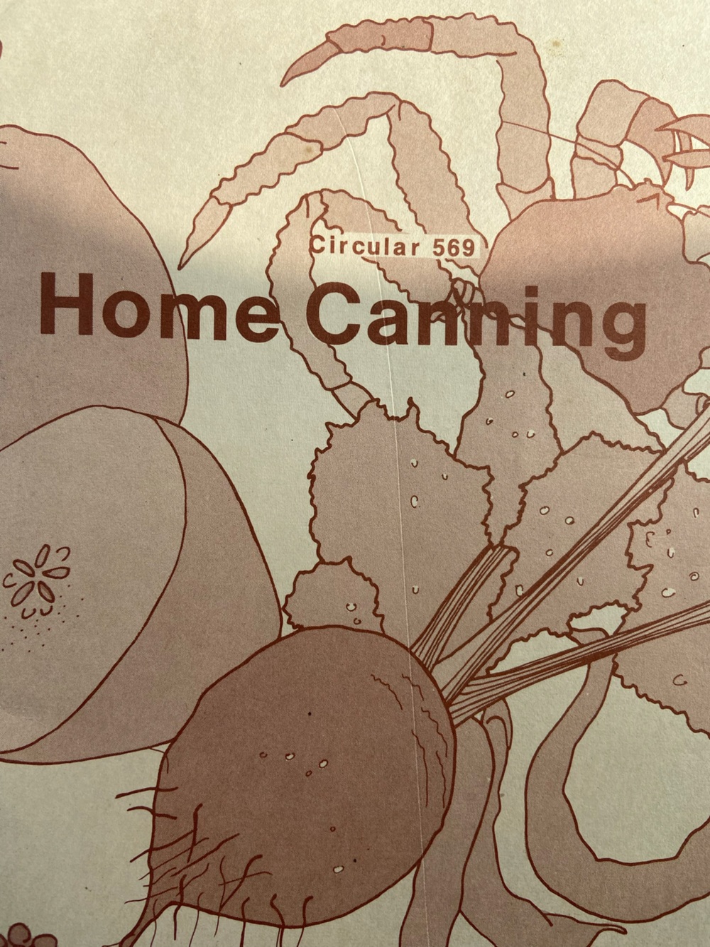 Home Canning book can canned preserve food preserves fruit vegetables pickle